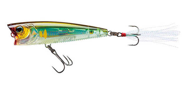 Yo-Zuri 3DB Popper