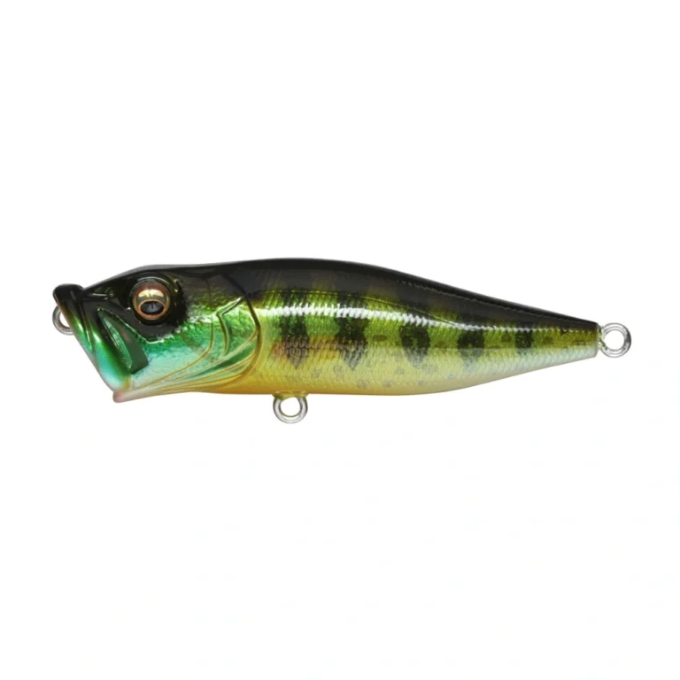 Megabass POP-X Pumpkin Seed