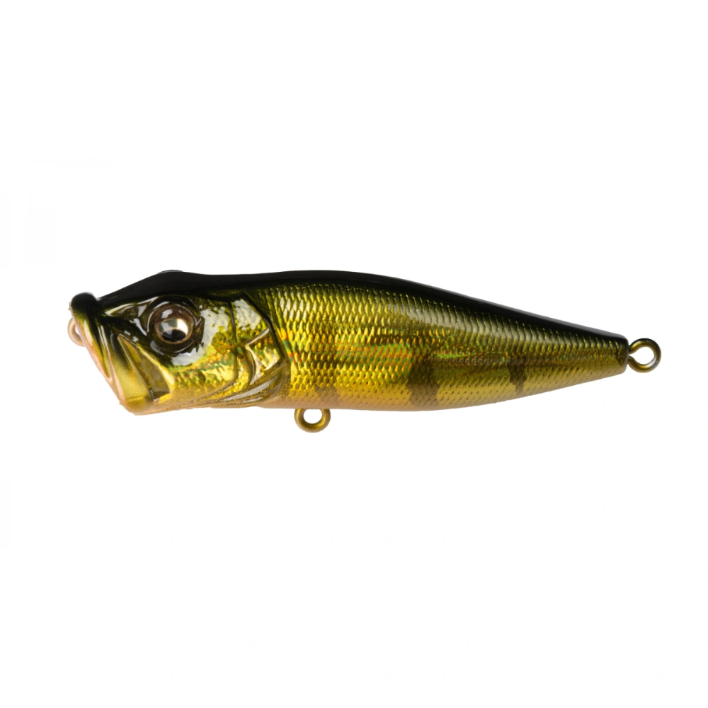 Megabass POP-X GG Perch