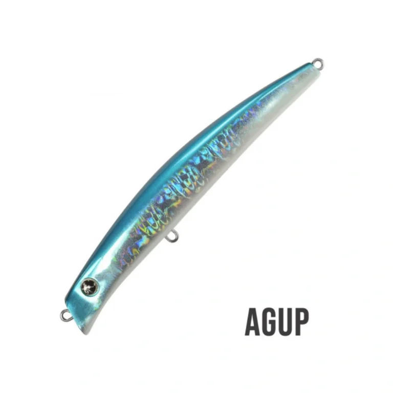 Coixedda 130 05557 AGUP