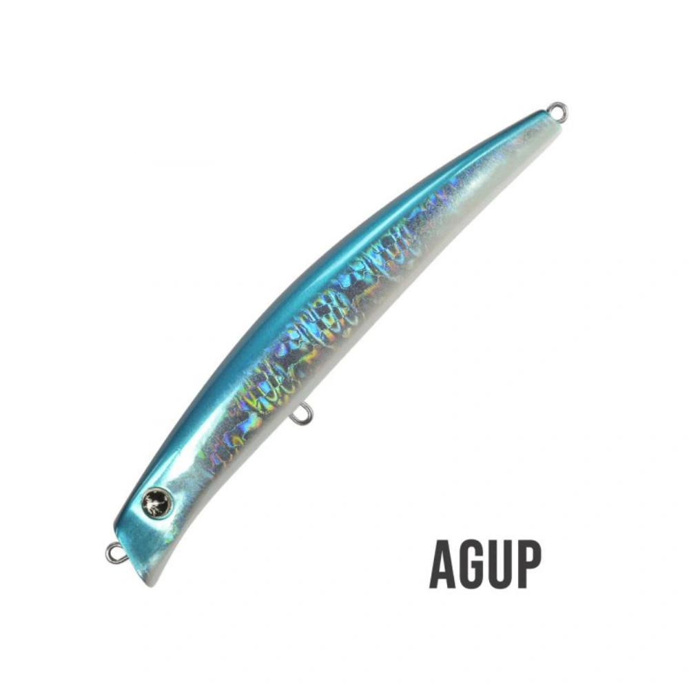 Coixedda 130 05557 AGUP