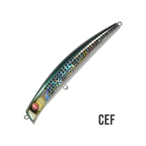 Coixedda 130 05570 CEF