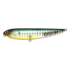 Lucky Craft Sammy 100 246GSF