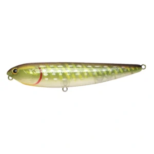 Lucky Craft Sammy 100 881GNPK