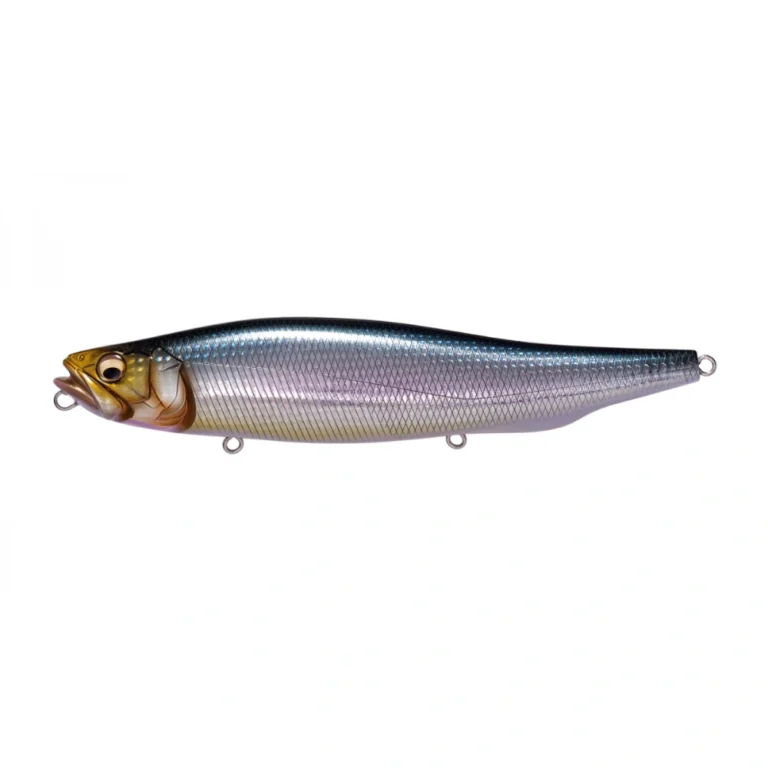 Megabass Megadog Iwashi