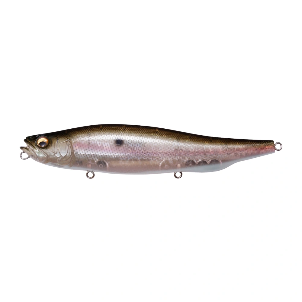 Megabass Megadog MB Gizzard