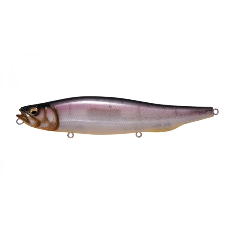 Megabass Megadog Shintaro Natural