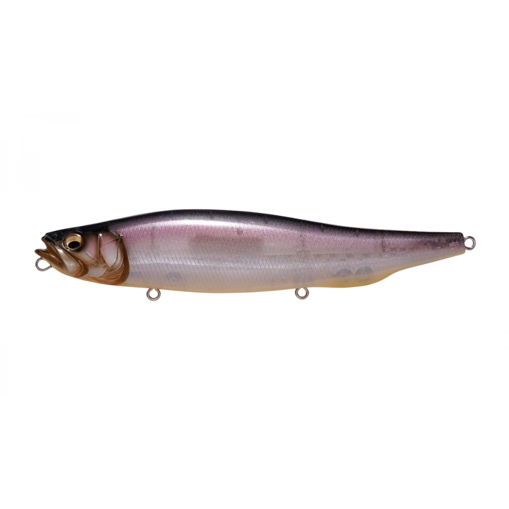 Megabass Megadog Shintaro Natural