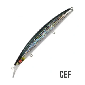 Seaspin Buginu 140 CEF