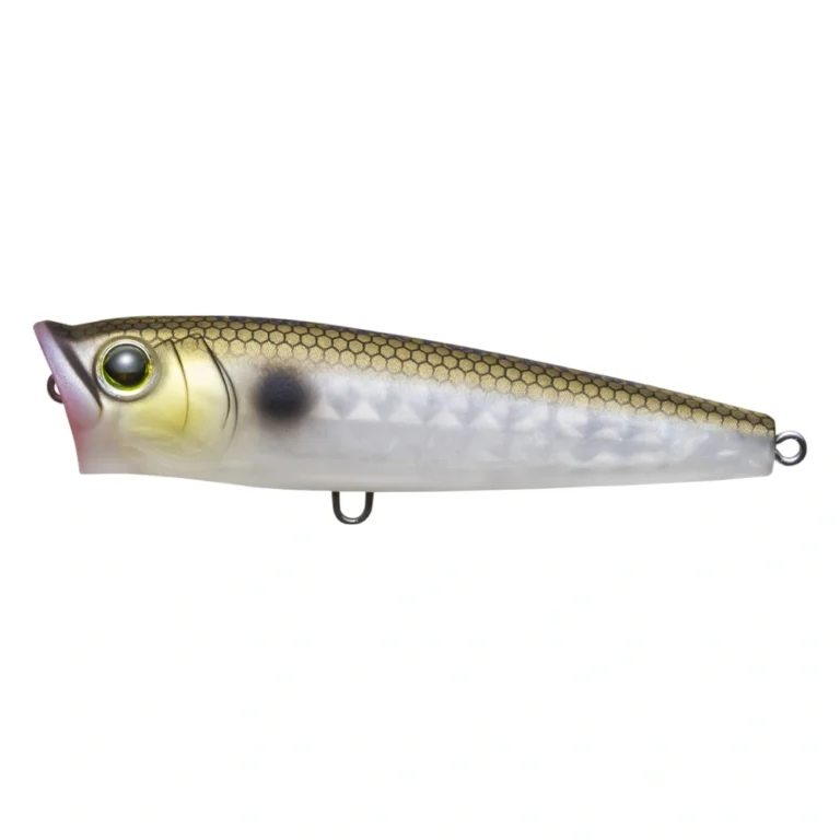 Yo-Zuri 3DR-X Popper R1435 MGZS