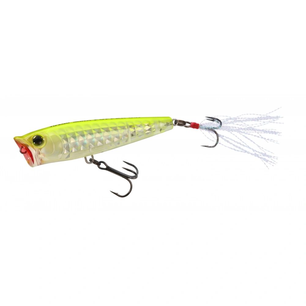 Yo-Zuri 3DR-X Popper R1435 PCLS
