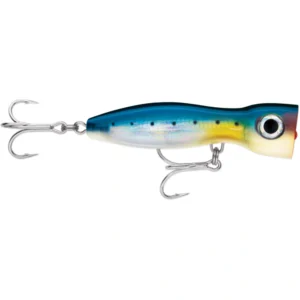 Rapala X-Rap Magnum Xplode XRMAGXP170 BSRD