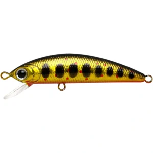 Lucky Craft Humpback Minnow 50S BGR Amago sinking minnow, compact trout lure with tight rolling action and natural amago pattern.