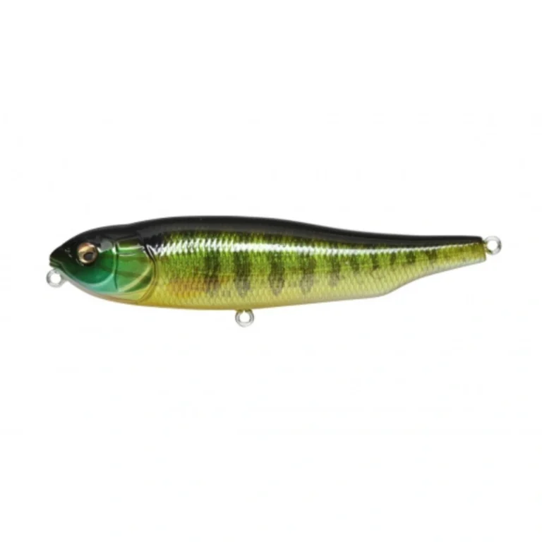 Megabass GIANT DOG-X Pumpkin Seed