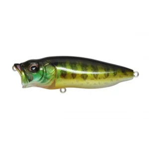Megabass POPMAX Pumpkin Seed