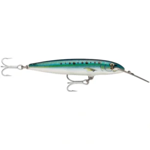 Rapala CountDown Magnum CDMAG14 Sardine saltwater fishing lure for tuna, wahoo, and offshore game fish
