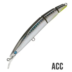 Seaspin Buginu 105 Bìu ACC