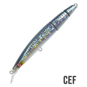 Seaspin Buginu 105 Bìu CEF