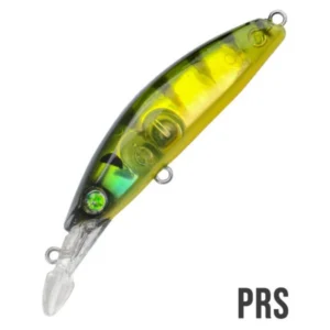 Seaspin Buginu 55 PRS