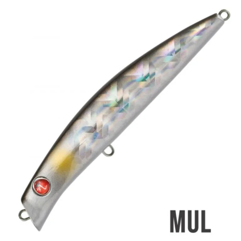 Seaspin Coixedda 100 MUL