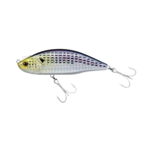 Daiwa Lazy Fashad Konoshiro