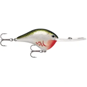 Rapala DT Metal 20 Bleeding Olive Shiner