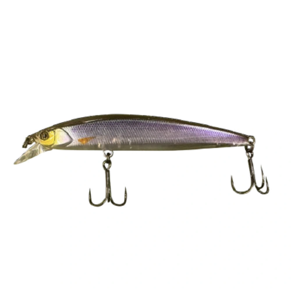 Jackall Rerange Ghost Wakasagi 9.5cm